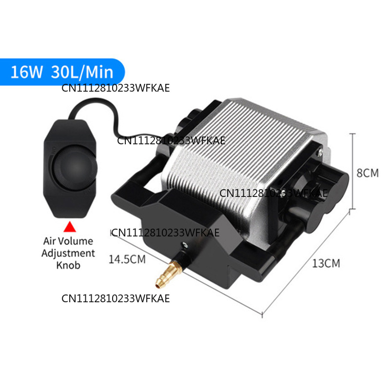 Pompa di assistenza aria per l - Air Assist Pump Laser recensione e prezzo