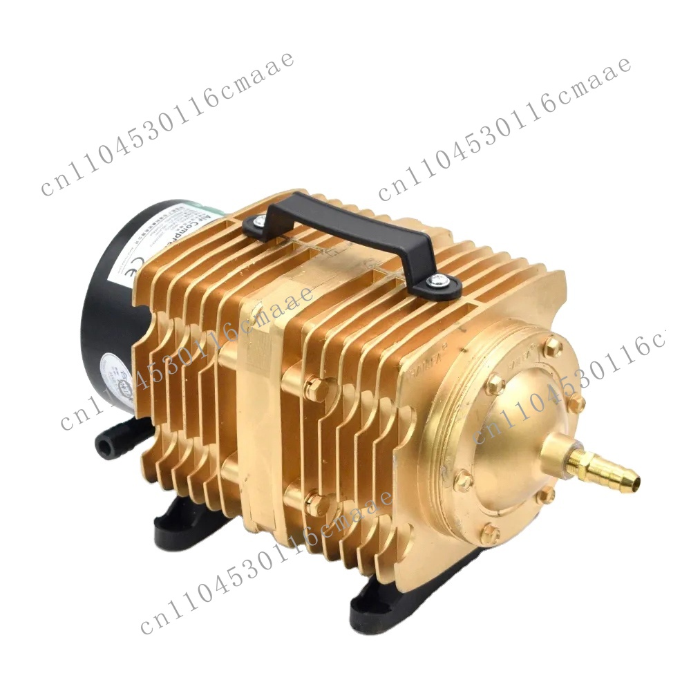 Pompa d'Aria 160W Compressore  - Air Assist Pump Laser recensione e prezzo