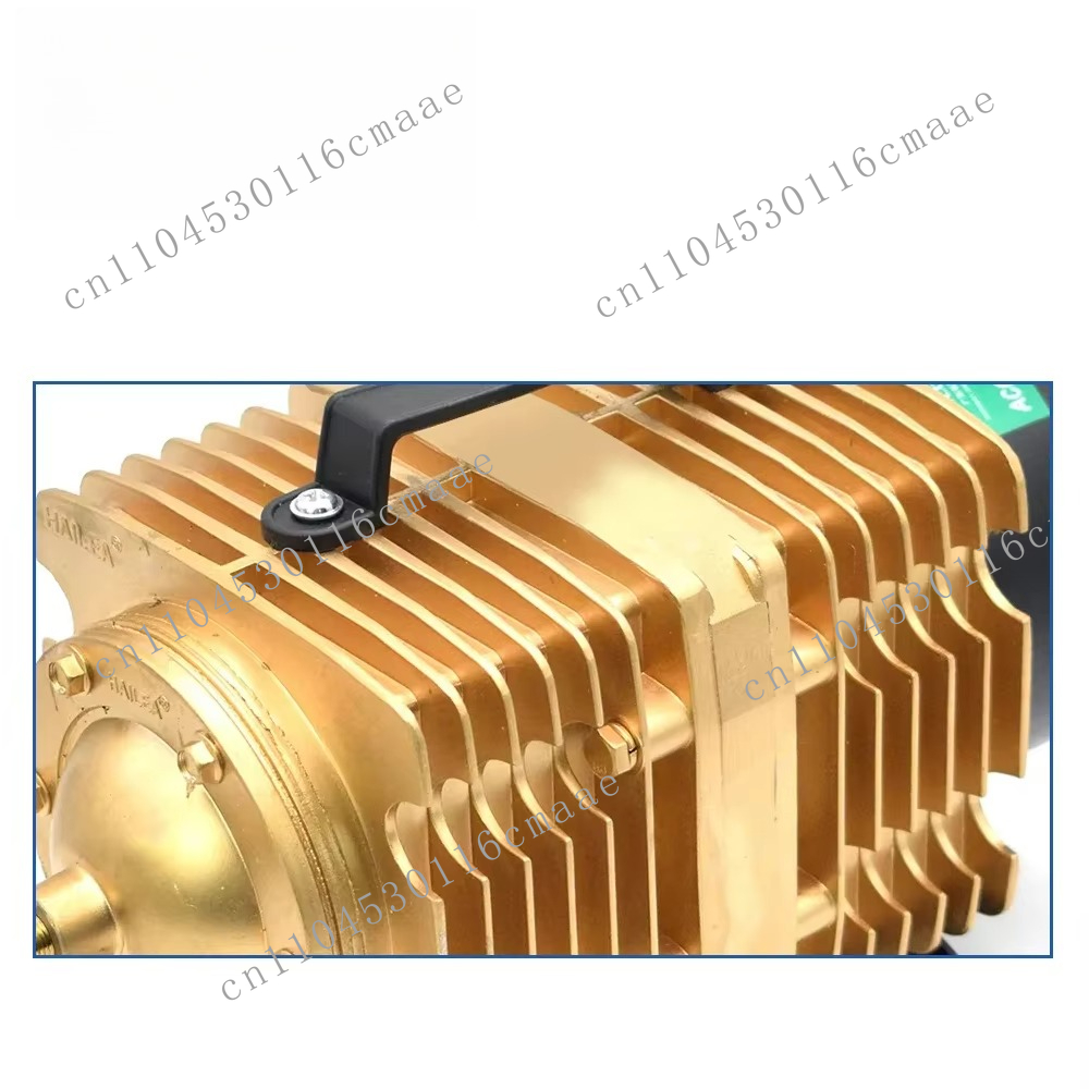 Pompa d'Aria 160W Compressore  - Air Assist Pump Laser recensione e prezzo